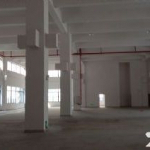联港工业区6000平方三层厂房招租(一楼6.5米可分租)