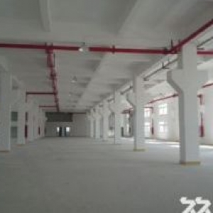 直租平沙7000平方厂房（仅租10元）