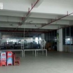 直租联港1−2楼4480平方厂房（高六米）