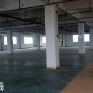 南屏科技园1800平方厂房出租