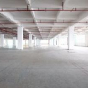 金湾1~3楼1000~4200平分租，带消防喷淋，卸货平台