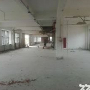 珠海市金湾区平沙镇 全新花园式工业厂房出租