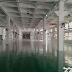 南屏科技园屏东一楼2700平方,全新装修,可分租