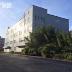 金湾三灶科技园厂房占地18000平、股权转让低价3700万