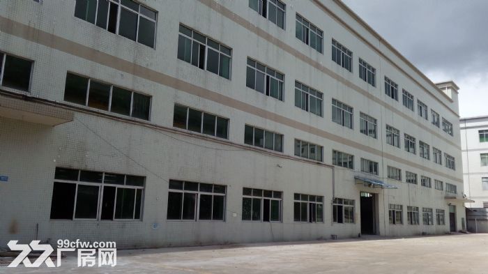 联港工业区6000平方三层厂房招租(一楼6.5米可分租)-图2