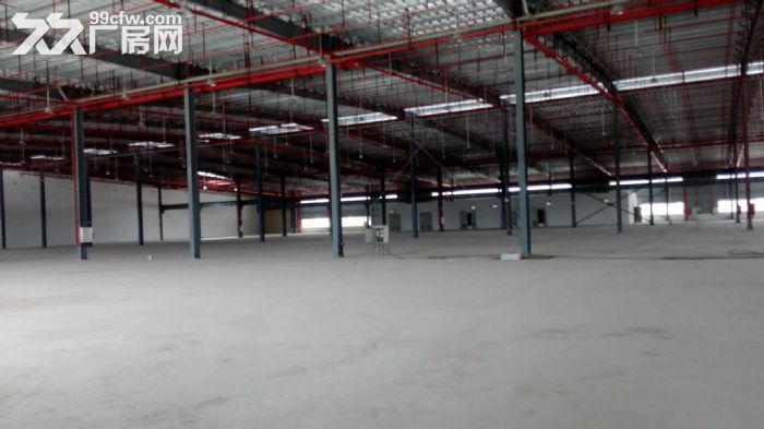 金湾8000平方独院单层钢构厂房出租