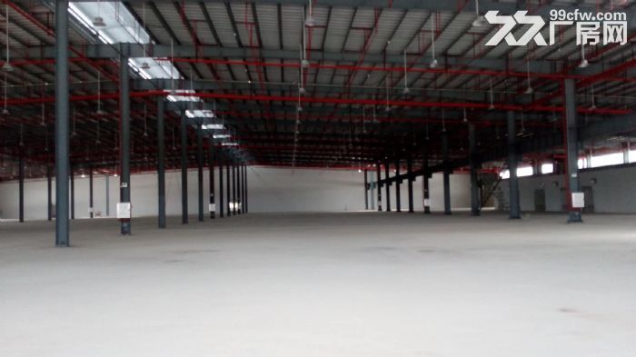 金湾8000平方独院单层钢构厂房出租-图2