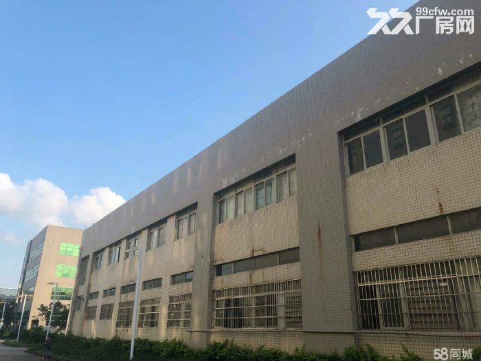 金湾8000平方独院单层钢构厂房出租-图3