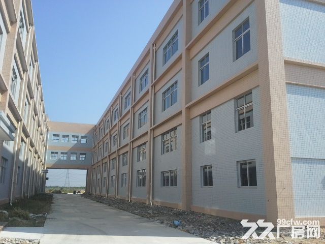 直租平沙7000平方厂房（仅租10元）-图6