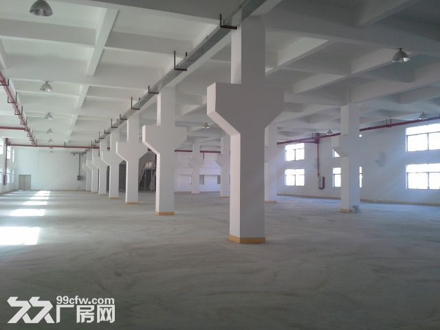 直租平沙7000平方厂房（仅租10元）-图3