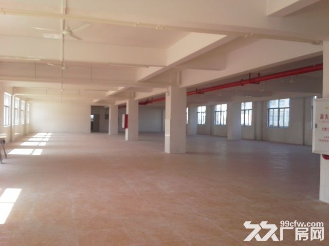 直租平沙7000平方厂房（仅租10元）-图7
