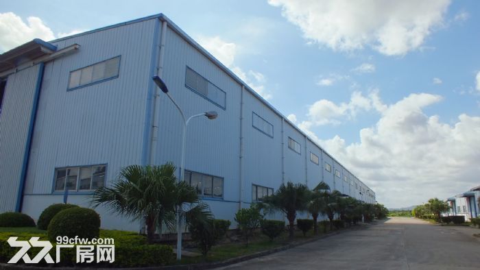 直租金湾5000平方独院单一层高9米带行车厂房-图5