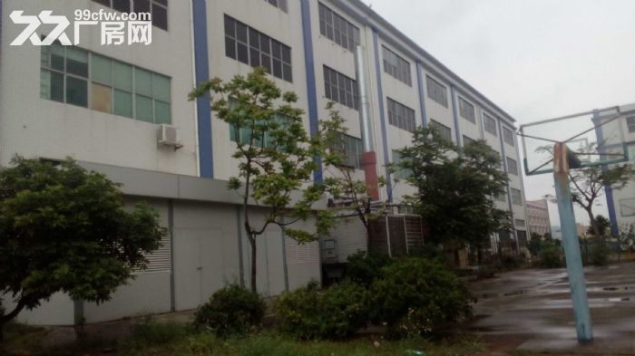 直租联港1&minus;2楼4480平方厂房（高六米）-图3