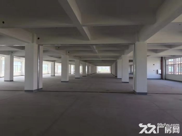 厂房便宜出租：珠海平沙产业园 办公仓库均可 可分租-图2