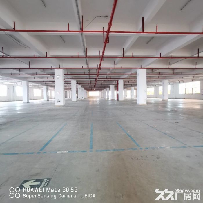 金湾1~3楼1000~4200平分租，带消防喷淋，卸货平台-图2