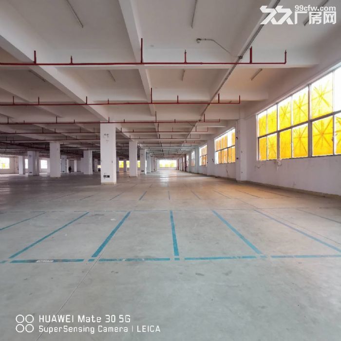 金湾1~3楼1000~4200平分租，带消防喷淋，卸货平台-图6