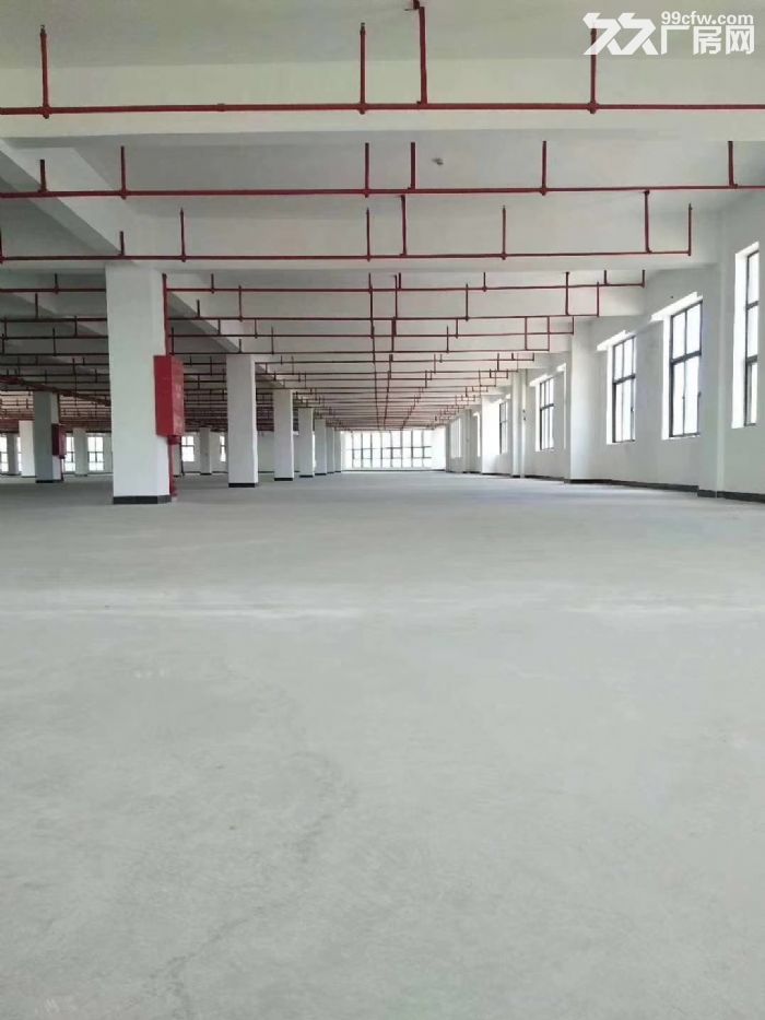 金湾1~3楼1000~4200平分租，带消防喷淋，卸货平台-图7