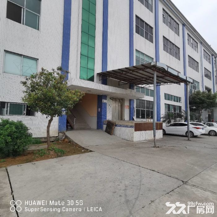 金湾1~3楼1000~4200平分租，带消防喷淋，卸货平台-图8