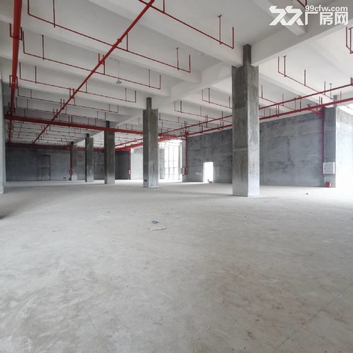 南屏全新厂房500~3万平1~5层分租，适合电商，工厂制造-图7