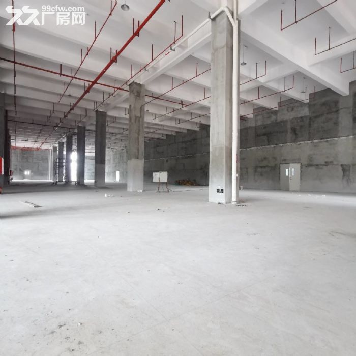 南屏全新厂房500~3万平1~5层分租，适合电商，工厂制造-图6