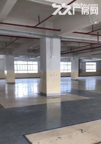 速抢！斗门万科魅力之城~同创智谷产业园5万平方优质新升级厂房-图8