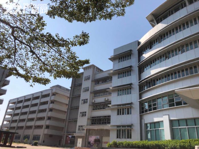 斗门白蕉 新行政中心，5万方升级产业园区厂房，位置优越享政补