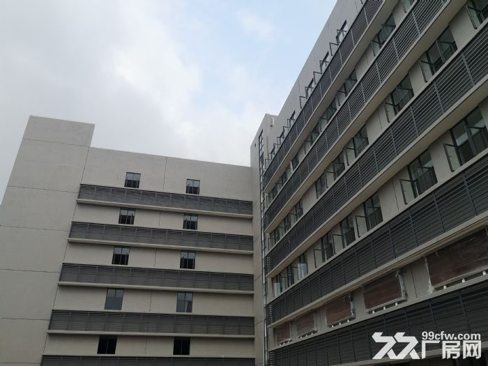珠海高新区全新厂房招租，每层3600平，可分租，配套齐全-图3
