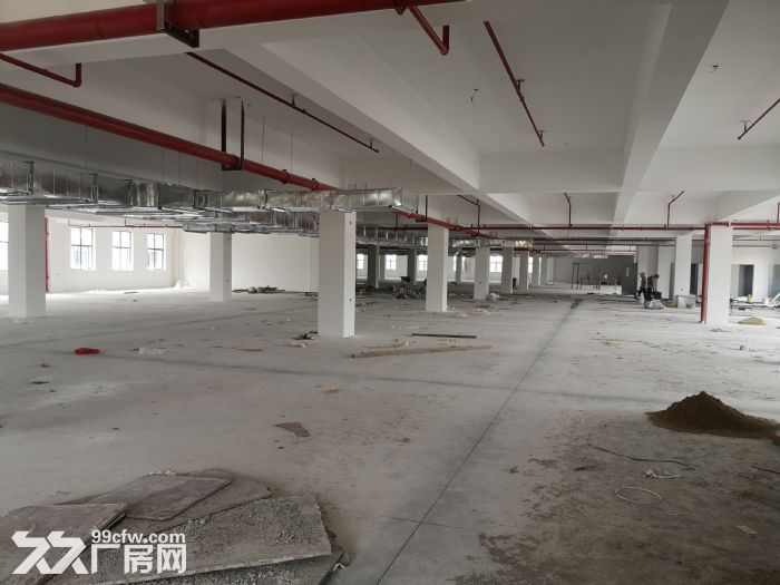 珠海高新区全新厂房招租，每层3600平，可分租，配套齐全-图5