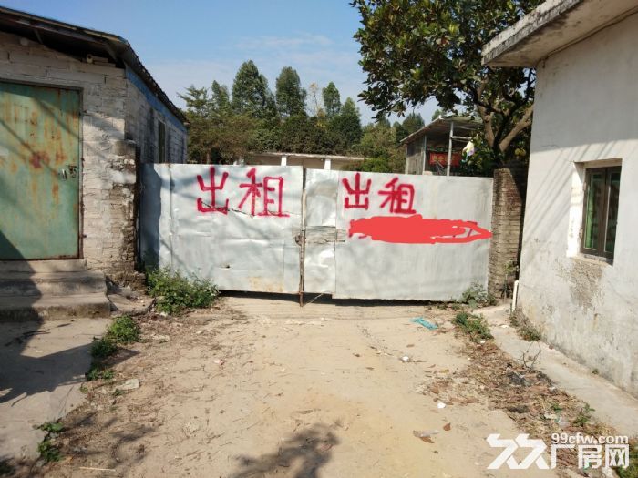 珠海市斗门镇小濠冲村空地出租-图2
