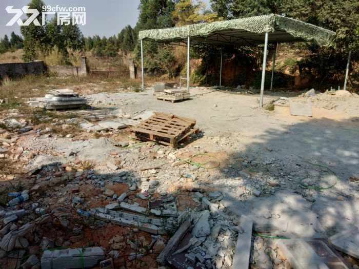 珠海市斗门镇小濠冲村空地出租-图5