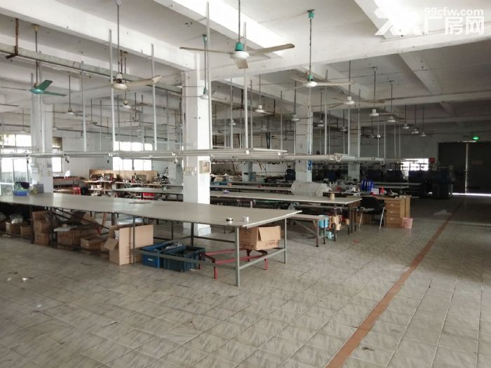 珠海市斗门镇斗门村委厂房出租-图5