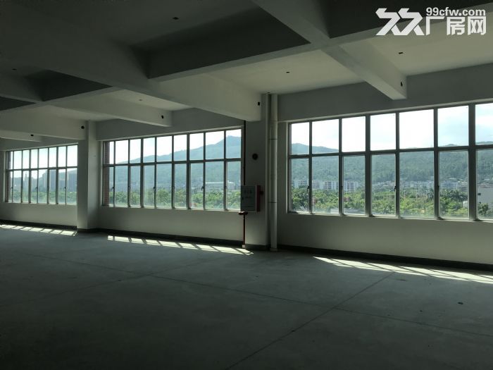 珠海业主全新厂房出租-图7