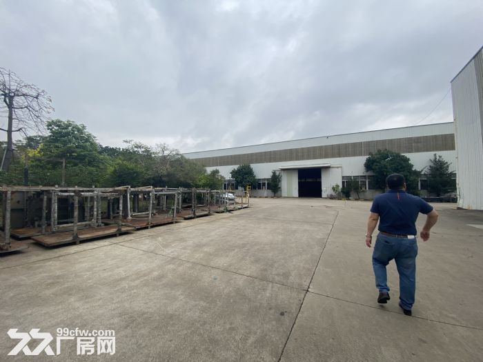 斗门白蕉花园式厂房出租-图2