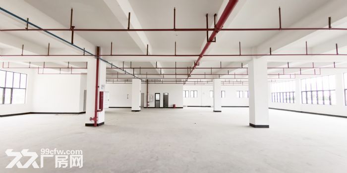 顺益科技园二栋二层招商！-图4