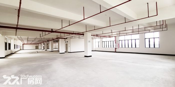 顺益科技园一栋二层招商！-图5