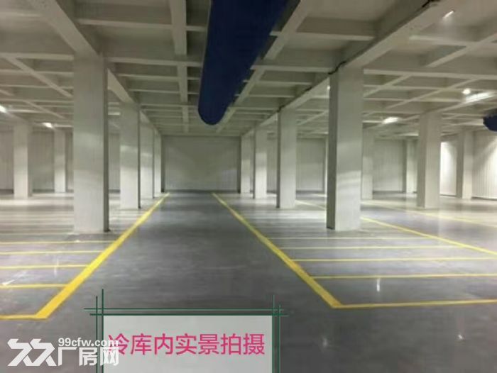 直租斗门普通及高标仓库厂房 大型冷库，可分租-图3