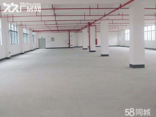 珠海金湾区小林联港工业园首层厂房出租-图2