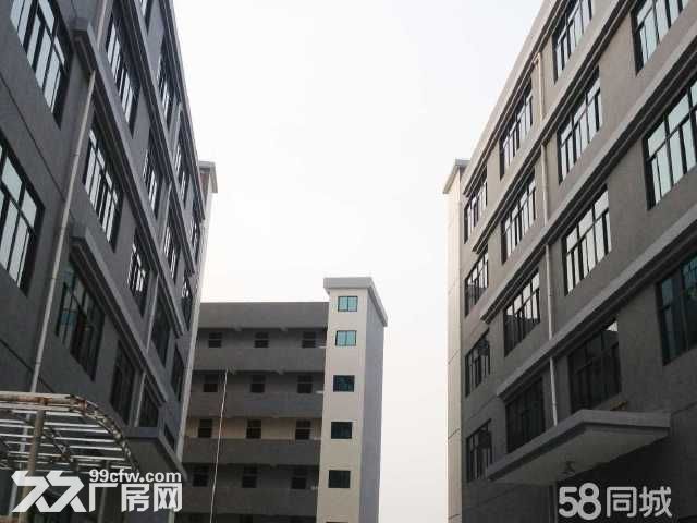 珠海金湾区小林联港工业园首层厂房出租-图5