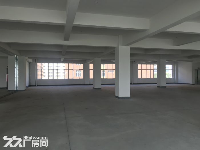 珠海业主全新厂房出租-图8