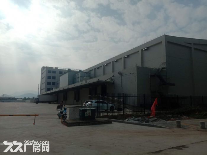 业主直租厂房、冷库、写字楼-图4