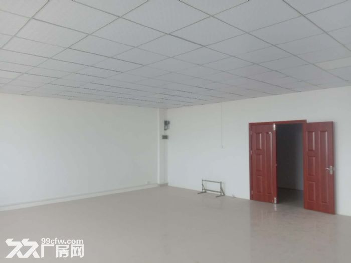 业主直租厂房、冷库、写字楼-图7