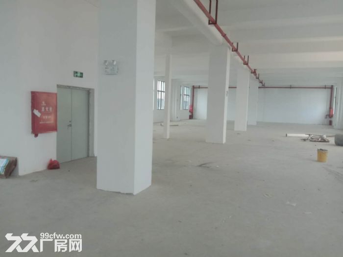 业主直租厂房、冷库、写字楼-图8