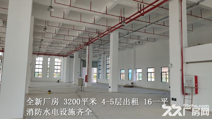 全新独院标准厂房3200平米 4&minus;5层出租 带消防水电-图3