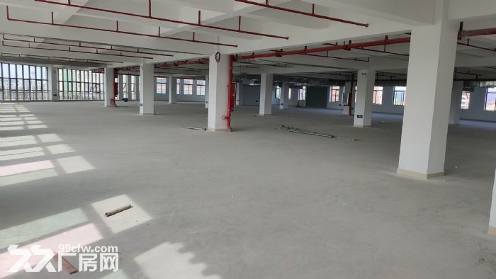 全新独院标准厂房3200平米 4&minus;5层出租 带消防水电-图5