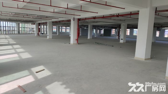 企业闲置楼层 面积3600m² 4楼出租 黄金地段 租金便宜-图3