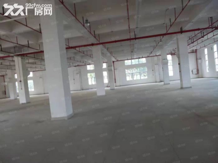 业主直租金湾花园式厂房-图3