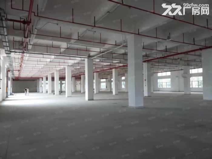 业主直租金湾花园式厂房-图2