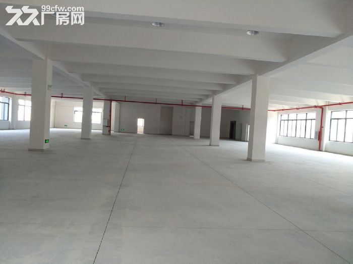 业主直租前山全新标准厂房超万平方-图2