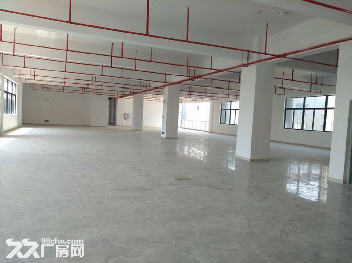 业主直租前山全新标准厂房超万平方-图4