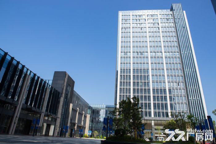 珠海信息港办公研发楼出租出售，享受国家政策补贴-图3